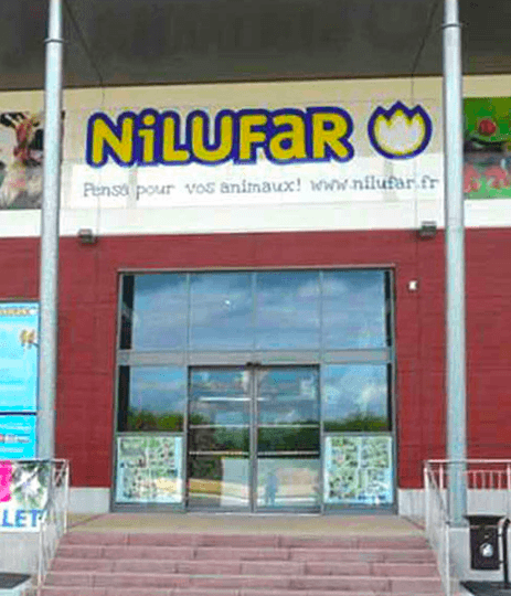 NILUFAR BELFORT – BESSONCOURT