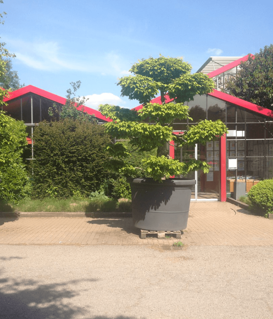 DESJARDINS TROUVILLE ALLIQUERVILLE
